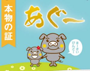代替テキスト